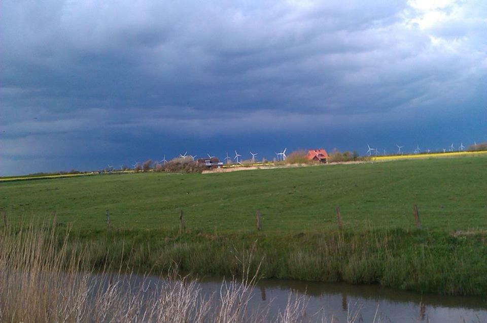 Nordseewind بوسم المظهر الخارجي الصورة